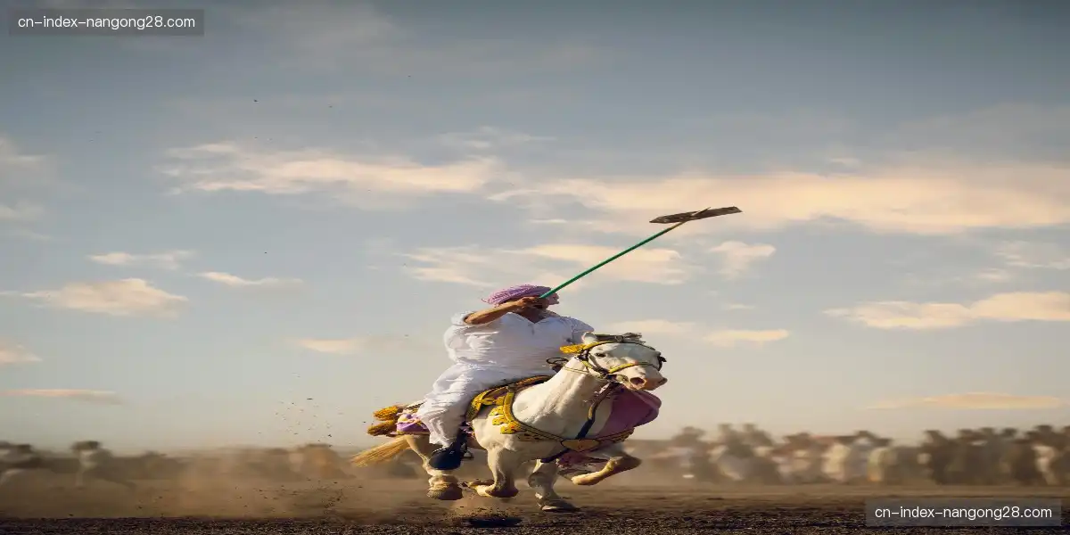 📡 强劲服务器稳定支撑,海量并发观看无压力!🛡️